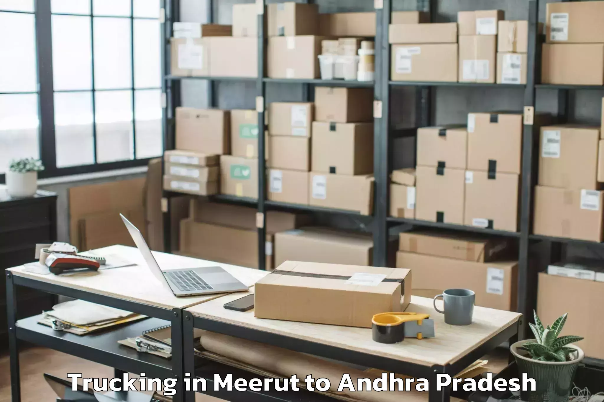 Easy Meerut to Anandapuram Trucking Booking